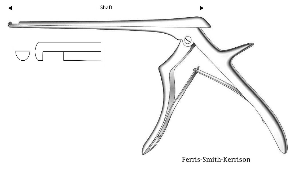 Intervertebral disc pint Ferris-Smith-Kerrison Premium, downstream, tip width = 6 mm-Axis length = 15 cm
