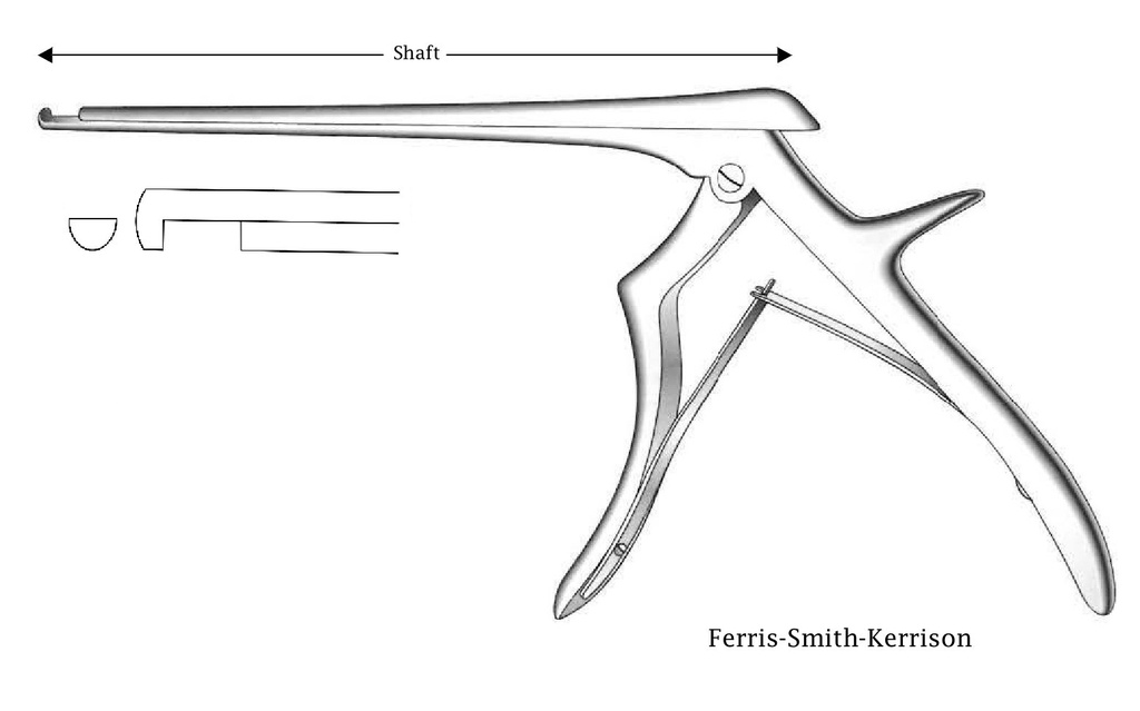 Intervertebral disc pint Ferris-Smith-Kerrison Premium, downstream, tip width = 5 mm-Axis length = 20 cm