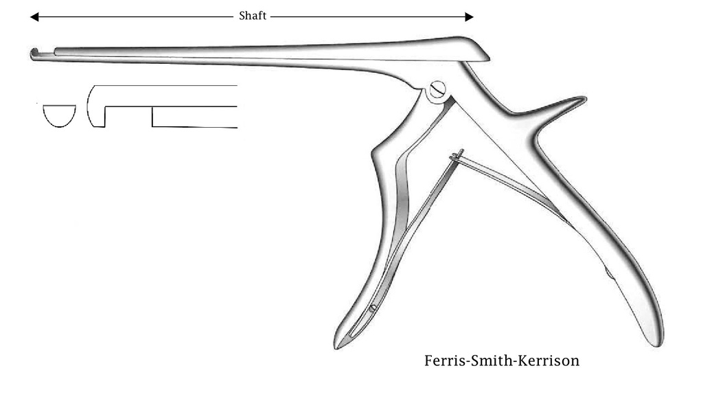 Ferris-Smith-Kerrison Premium intervertebral disc clamp, cutting down, tip width = 6 mm-Axis length = 20 cm