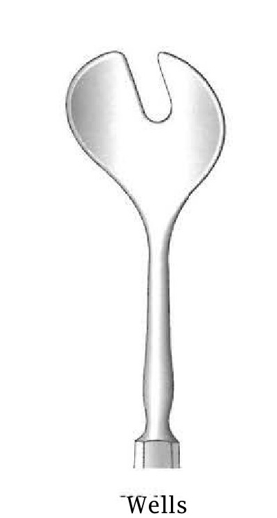 Cuchara para enucleación Wells premium 15 cm / 6"
