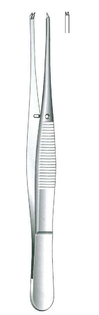 Pinza para fijación Elschnig premium, dientes = 1:2 - longitud = 11 cm / 4-1/2"