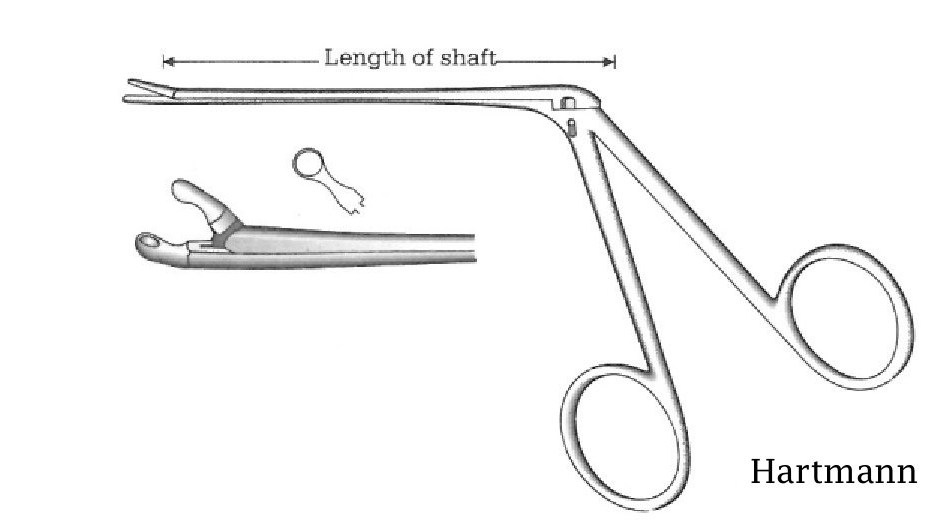 Pinza para pólipo oído Hartmann premium, diámetro = 3 mm - longitud = 8.5 cm / 3-1/2"