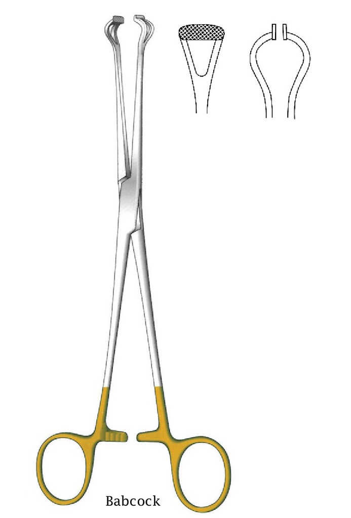 Pinza para órgano y tejido de Babcock premium - longitud = 16 cm / 6-1/4", dentado = 0.5 mm, recto, perfil normal, TC Gold