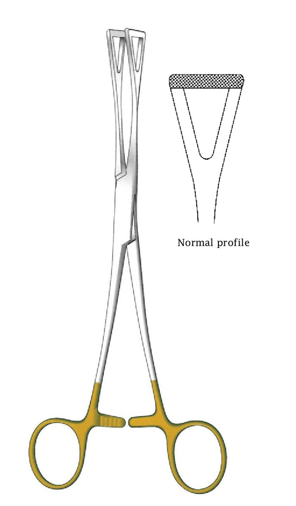 Pinza para sujeción de tejidos Duval premium, dentado = 0,5 mm, perfil normal, TC Gold - longitud = 20 cm / 8"