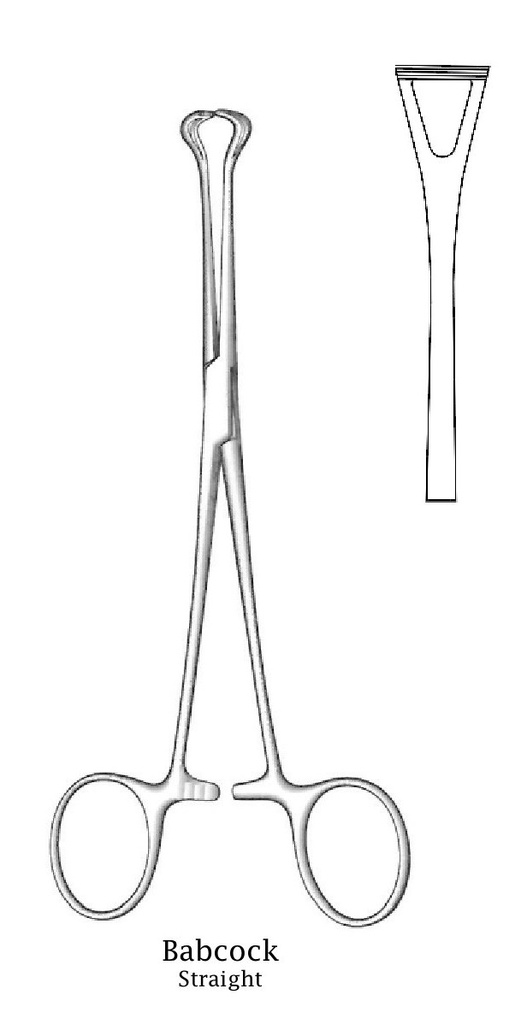 Babcock Premium tissue clamp - length = 20 cm / 8 ", straight