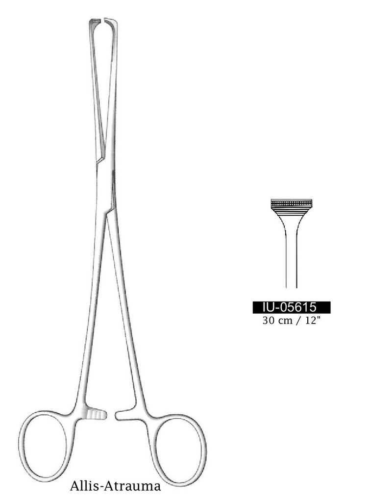 Pinza de sujeción intestinal y tejido Allis-Atrauma premium - longitud = 25 cm / 10"