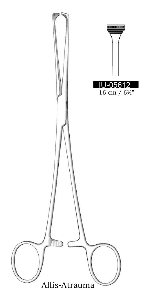 Intestinal clamping and Allis-Atrauma Premium tissue-length = 16 cm / 6-1 / 4 "