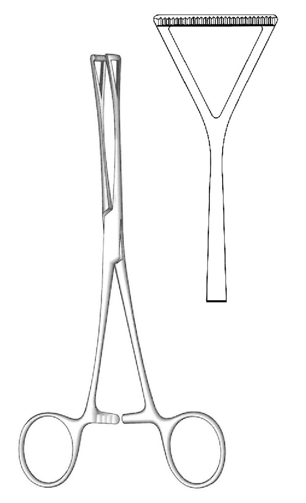 Premium Duval tissue clamp, 25 mm teeth - length = 23 cm / 9 "