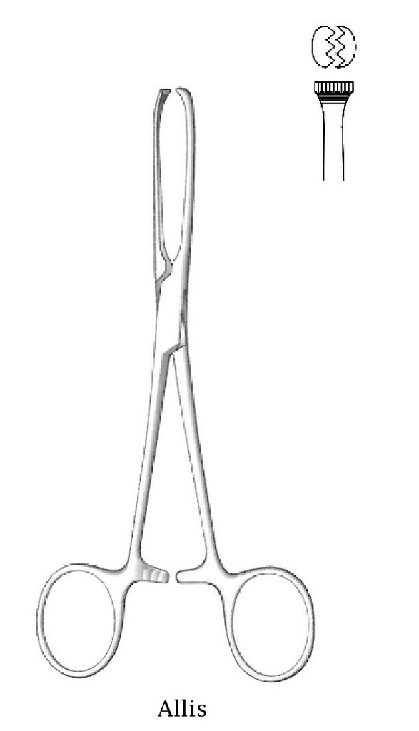 Pinza de órganos y tejidos de Allis Babcock premium - longitud = 25 cm / 10", dientes = 5:6