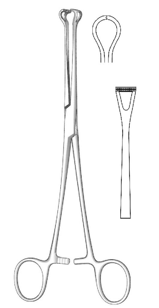 Pinza de tejido Babcock-Atrauma premium - longitud = 16 cm / 6-1/4"