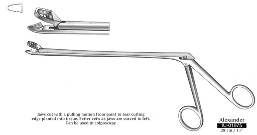 [IU-01975] Pinza para biopsia uterina Alexander - longitud = 28 cm / 11", longitud del eje = 20 cm / 8"