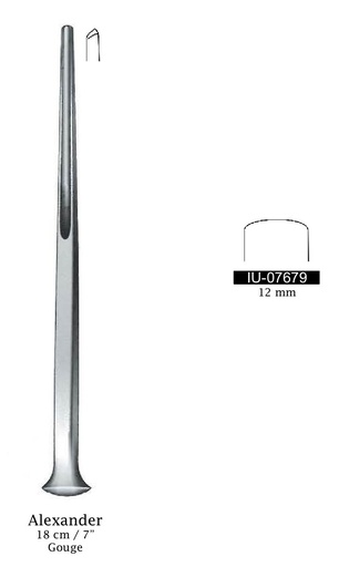 [IU-07679] Gubia Alexander - longitud = 18 cm / 7", ancho = 12 mm