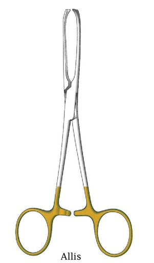 [IU-08822] Allis tissue clamp - length = 19 cm / 7-1 / 2 "