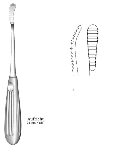 [IU-07139] GLABELA AUFRICHT RICHER - LENGTH = 21 cm / 8-1 / 4 ", width = 32 x 9 mm, cut back of a single end