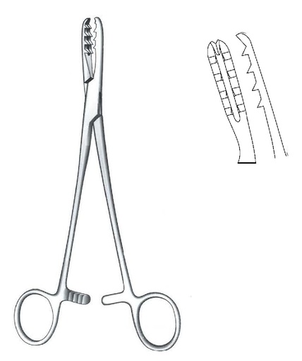 [IU-07179] Bircher-Ganske Bone Holding Forceps, curved - length = 20 cm / 8"