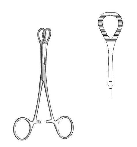 [IU-00927] Coeur Organ Holding Forceps - length = 18 cm / 7"