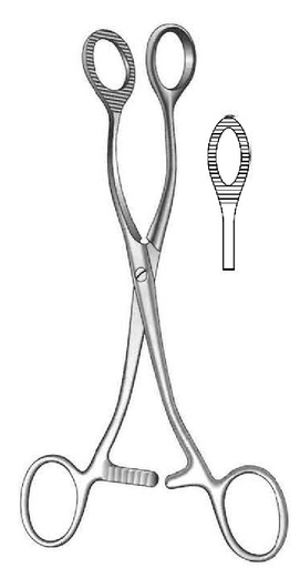 [IU-00757] Pinza para agarrar órganos Collin, forma de óvalo - longitud = 16 cm / 6-1/4"