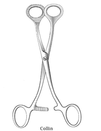 [IU-05351] Pinza de sujeción para lengua Collin - longitud = 17 cm / 6-3/4"