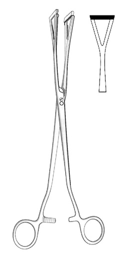 [IU-05591] Pinza para sujeción de tejidos Duval, anchura de los dientes = 25 mm - longitud = 28 cm / 11"