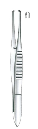 [IU-06443] Pinza de fijación Guist