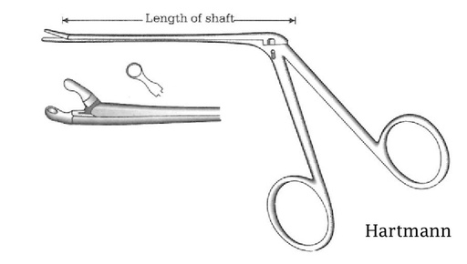 [IU-04274] Hartmann heard polyp clamp, diameter = 2.5 mm - length = 12 cm / 4-3 / 4 "