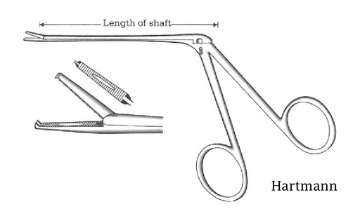 [IU-04266] Pinza para pólipos oído de Hartmann-Noyes, dientes = 1:2