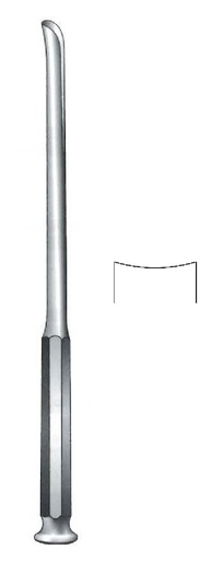 [IU-06895] Gubia Honton, convex