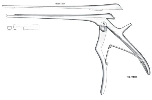 [IU-03613] Intervertebral disc clamp, cut down, wide = 5 mm - Axis length = 15 cm