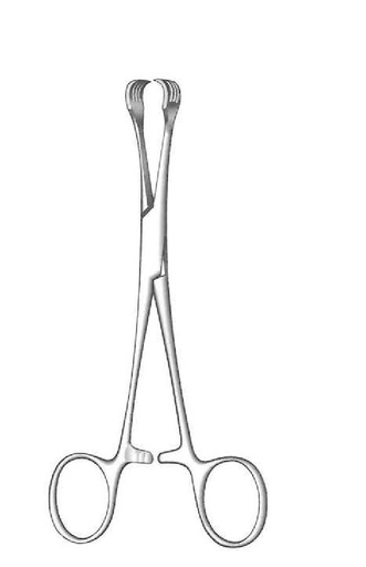 [IU-08826] Lahey Chocio Garbar Calle - Length = 20 cm / 8 "