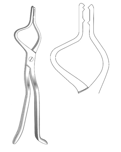 [IU-05071] Tessier with adult, right -wing clamp