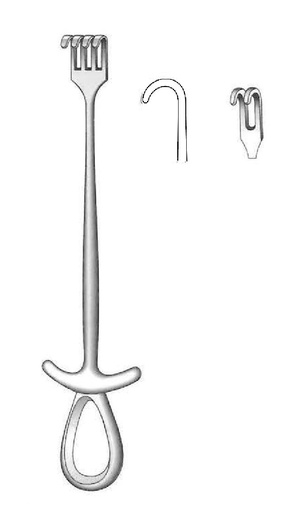[IU-01553] Murphy separator, declared, 2 teeth