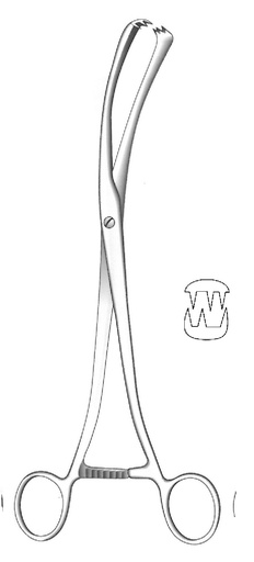 [IU-01803] Pinza de tenáculo Museux, curva, ancho = 13 mm