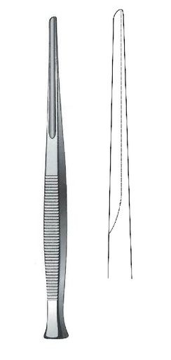 [IU-07648] Gubia Partsch, Figure 5