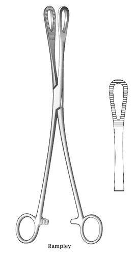 [IU-02306] Ramppley sponge clamping clamp, thread closure - length = 18 cm / 7 "