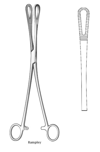 [IU-02258] Ramppley sponge clamping clamp, cash closure - length = 25 cm / 10 "