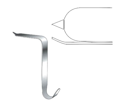 [IU-07940] Elevador de hueso Taylor, tamaño de la hoja = 75 x 30 mm