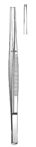 [IU-00484] Pinza para disección de Taylor, recta, dientes = 1:2