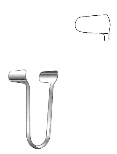[IU-04870] Nasal spatulum thudichum goldsmith, Figure 0