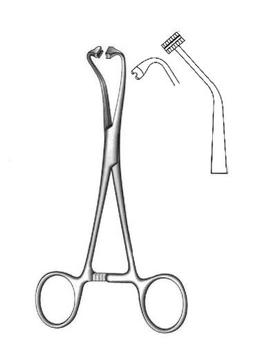 [IU-01055P] Pinza para toallas de Peer's-Bertram premium