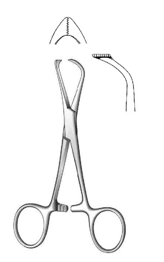 [IU-01051P] Pinza de campo Lorna premium - longitud = 13 cm / 5"