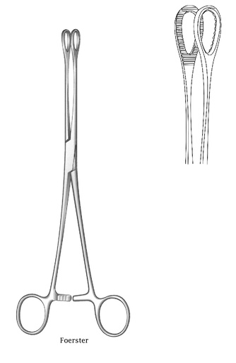 [IU-02299P] Subject clamp for sponges Foerster Premium, teeth, straight - length = 18 cm / 7 "