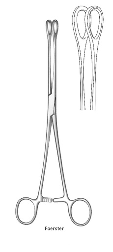[IU-02298P] Pinza para Esponjas Foerster con Punta Recta, Mandíbulas Lisas Ovaladas y Fenestradas - Longitud de 25 cm