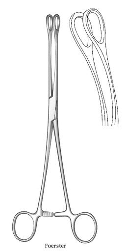 [IU-02302P] Pinza de sujeción para esponjas Foerster premium, diente liso, curva - longitud = 25 cm / 10"