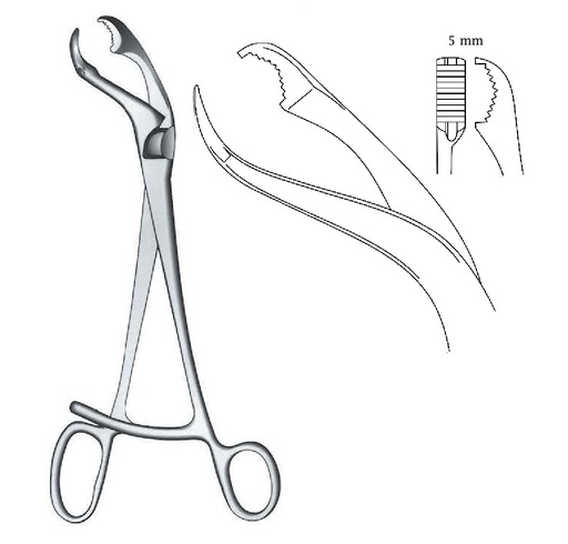 [IU-08017P] Premium Verbrugge Bone Holding Forceps - length = 17.5 cm / 6-3/4"