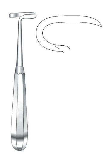 [IU-07884P] Legra Doyen premium para adultos, derecha - longitud = 17 cm / 6-3/4"