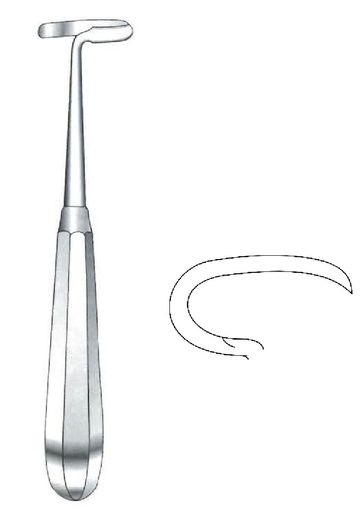 [IU-07886P] Legra Doyen premium para niños, derecha - longitud = 17 cm / 6-3/4"