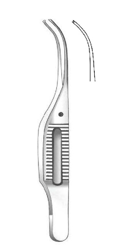[IU-06427P] Iris Gill Premium clamp, curve