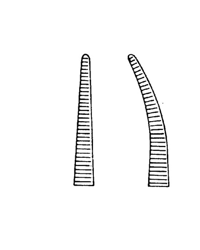 Pinza Hemostática de Halsted-Mosquito, Dentada - Longitud de 12,5 cm